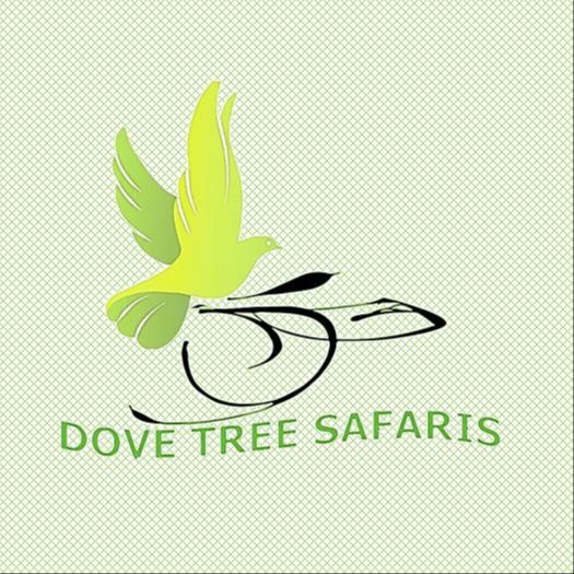 DOVE TREE SAFARIS
