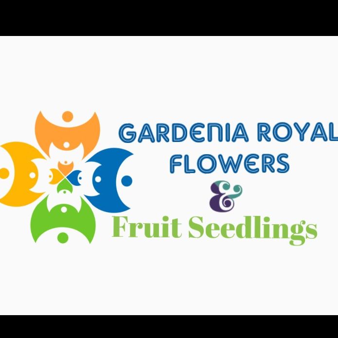 GARDENIA ROYAL FLOWERS AND FRUIT SEEDLINGS LIMITED
